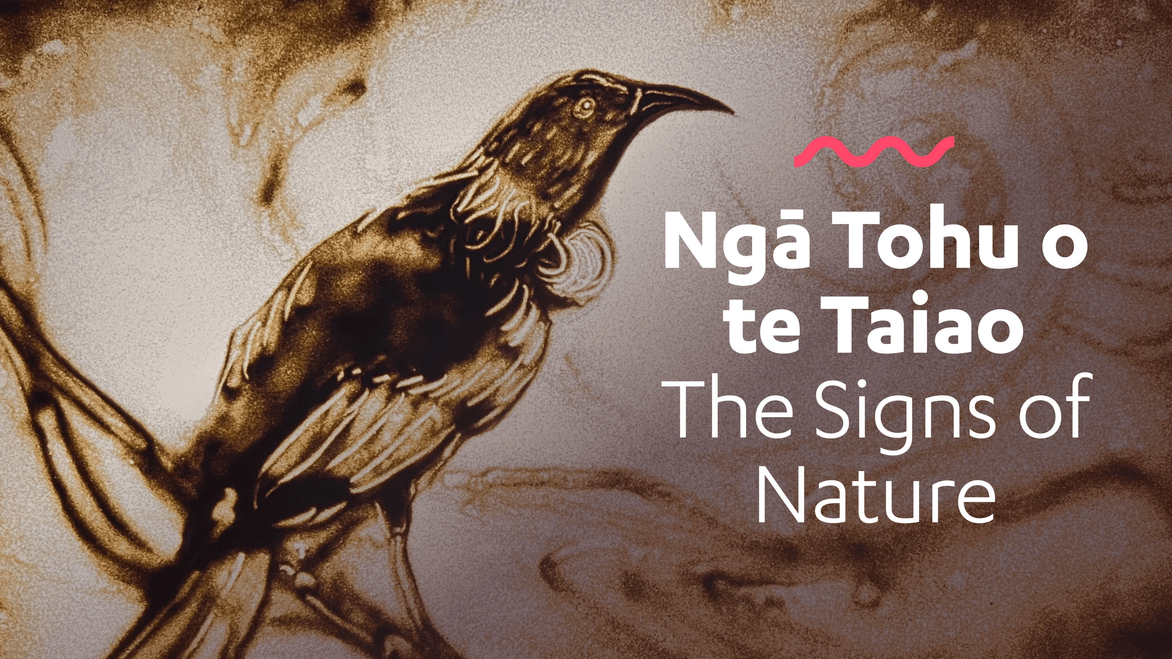 The Signs of Nature