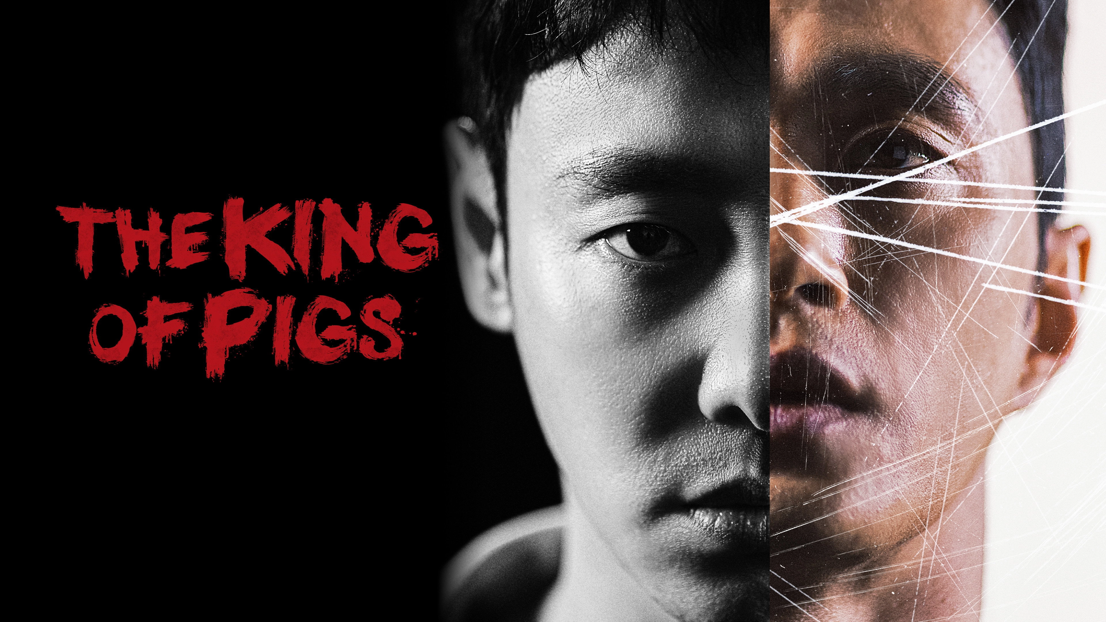 The King of Pigs