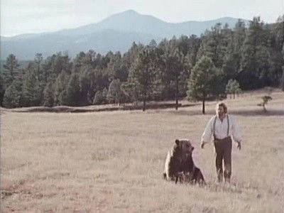 Grizzly Adams
