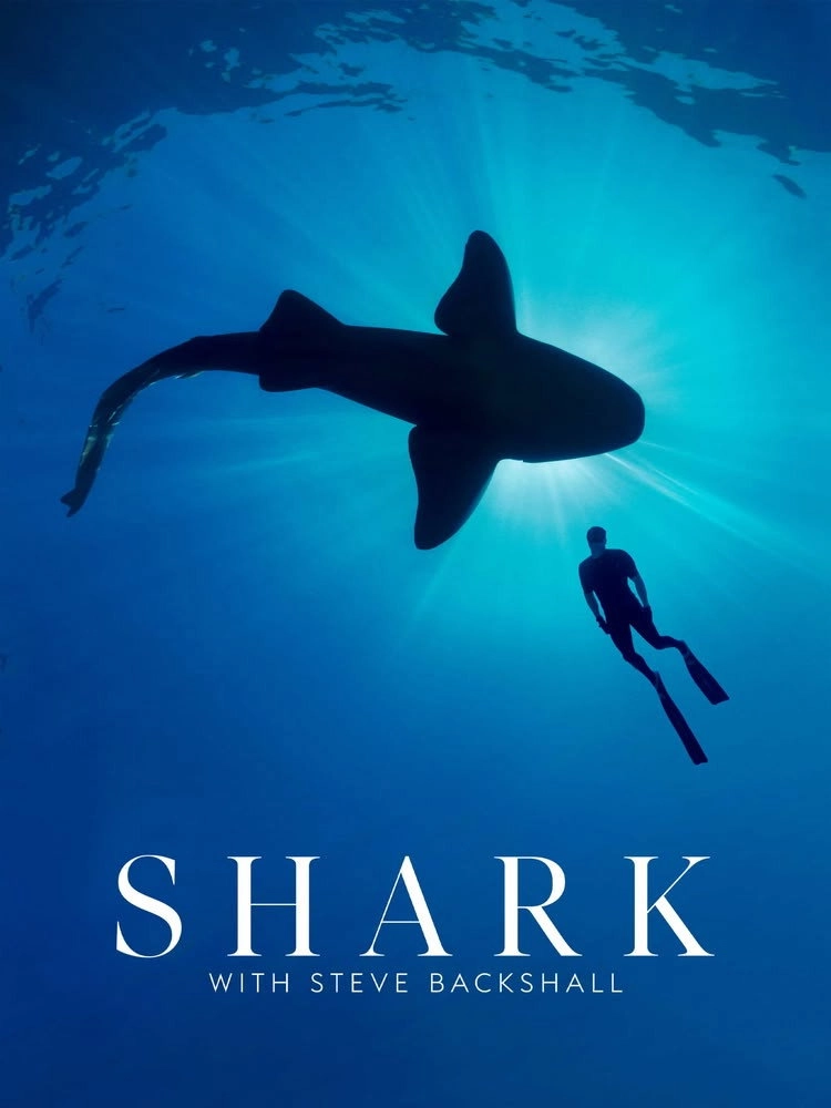 Shark with Steve Backshall
