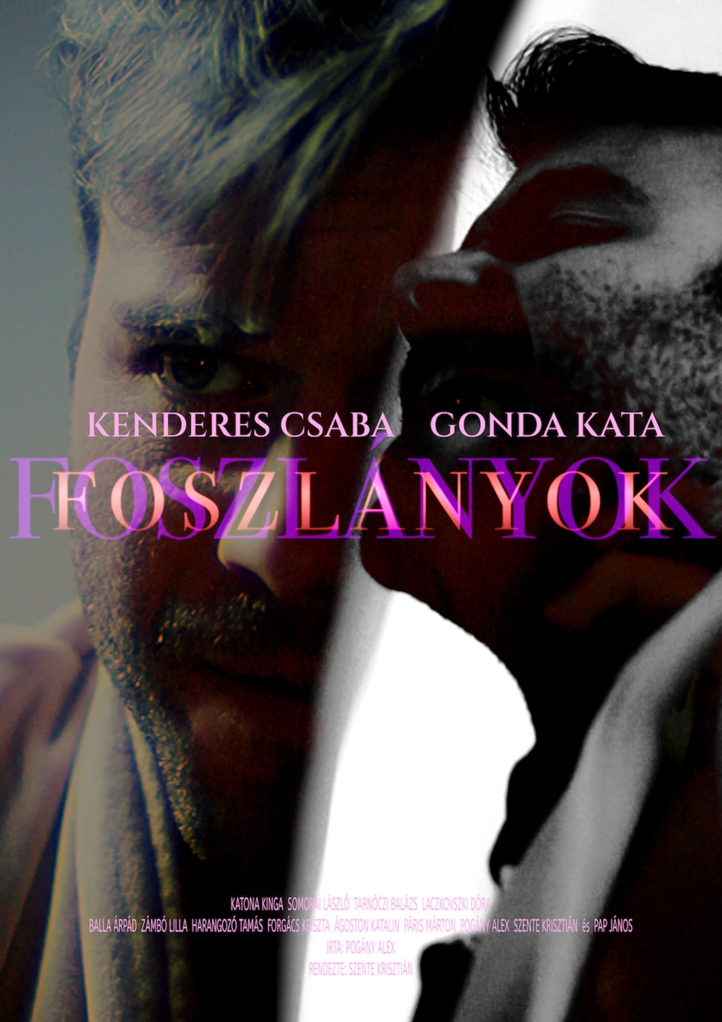 FOSZLÁNYOK