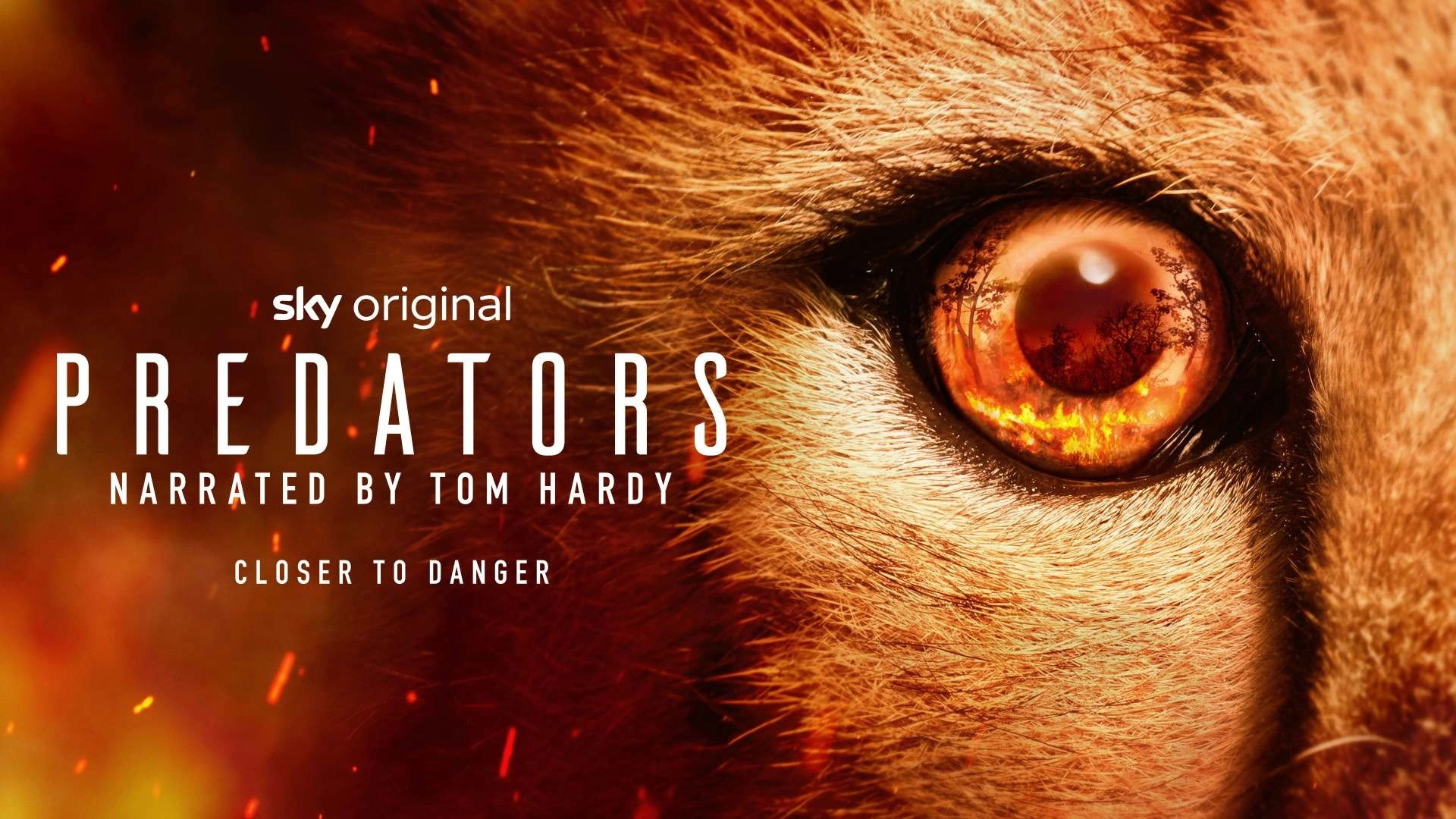 Predators