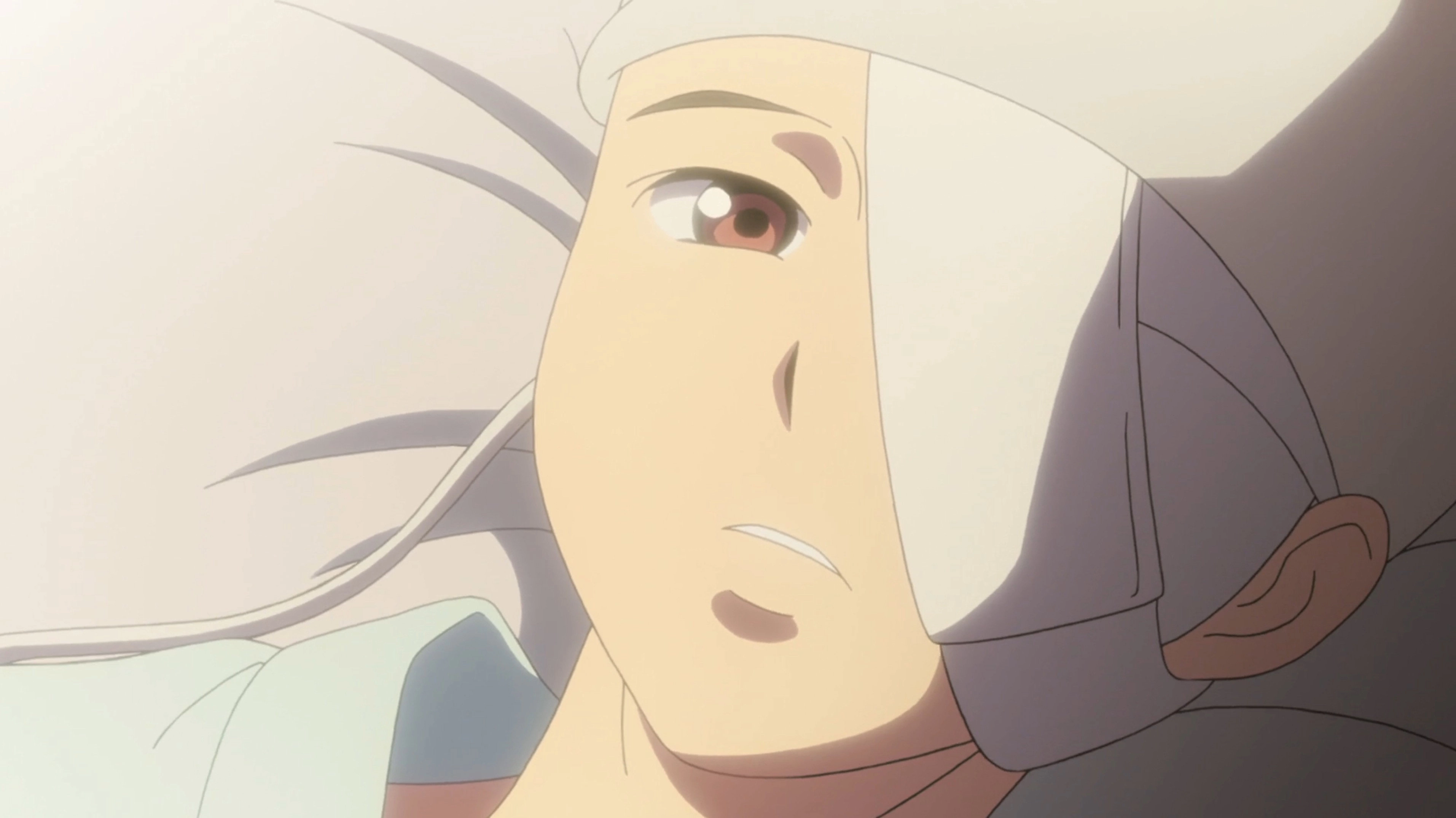 Aldnoah.Zero