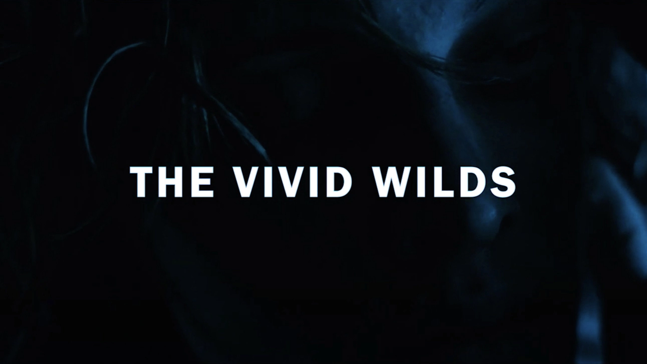 The Vivid Wilds