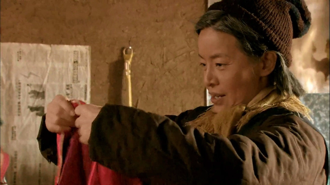 婆婆来了