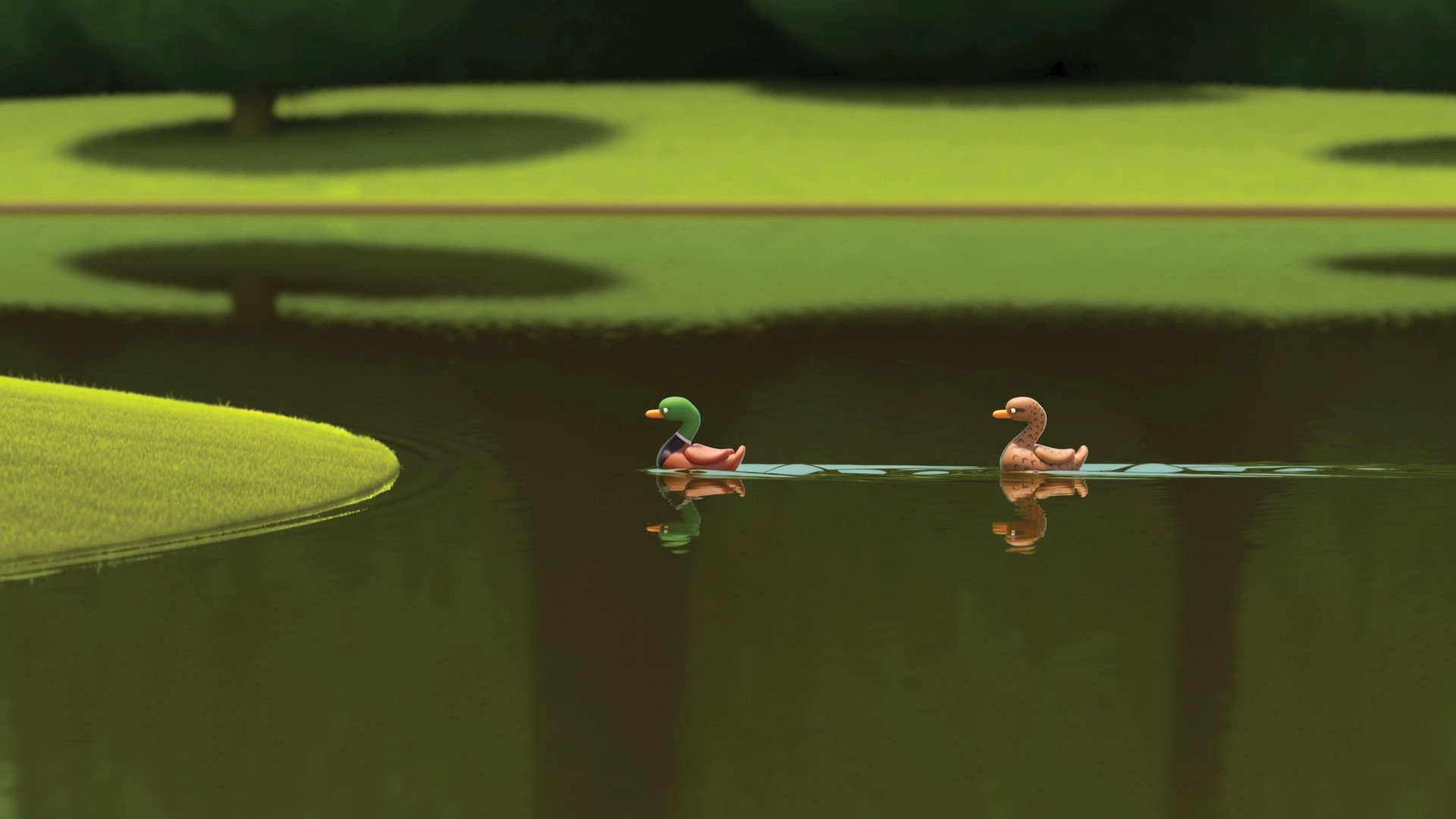 DUCKS