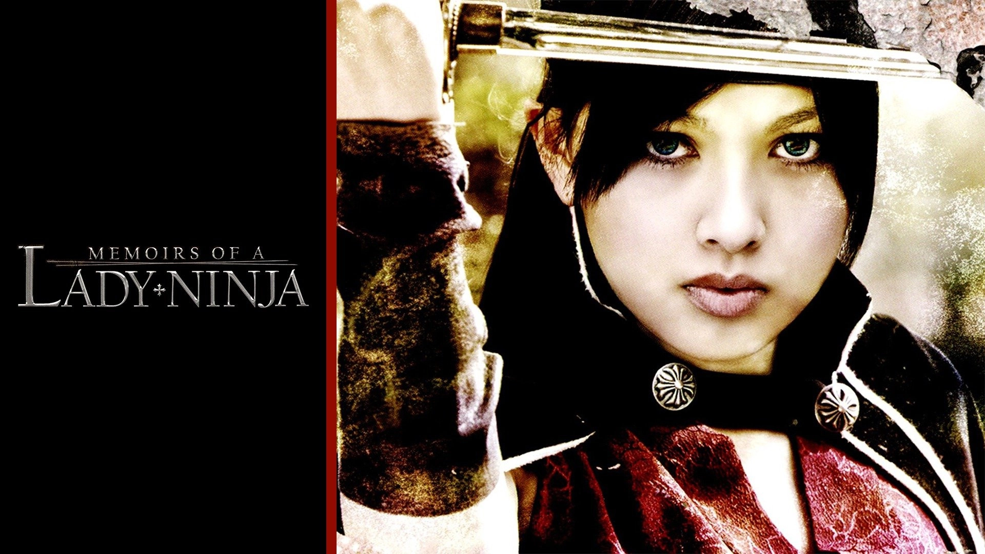 Memoirs of a Lady Ninja