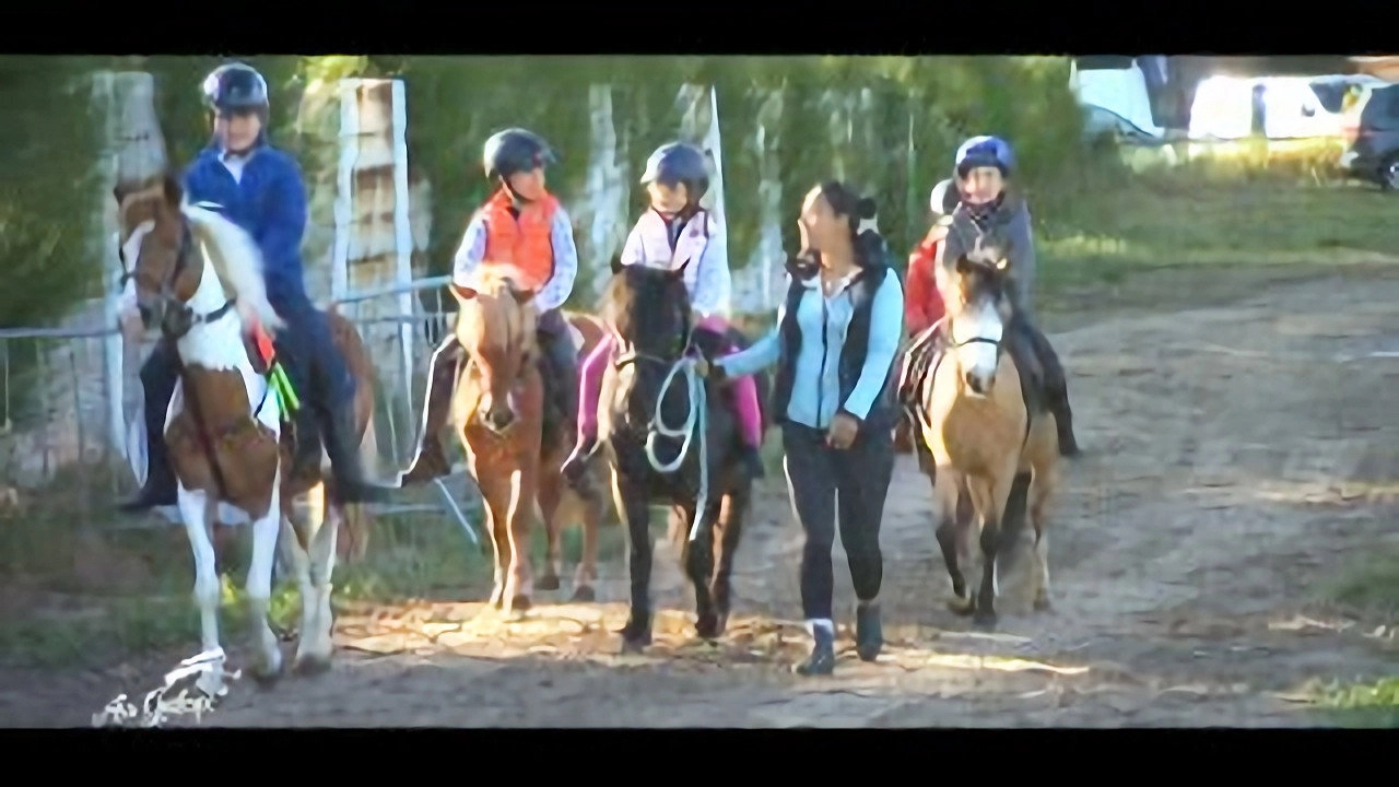 Au galop ! une saison à cheval