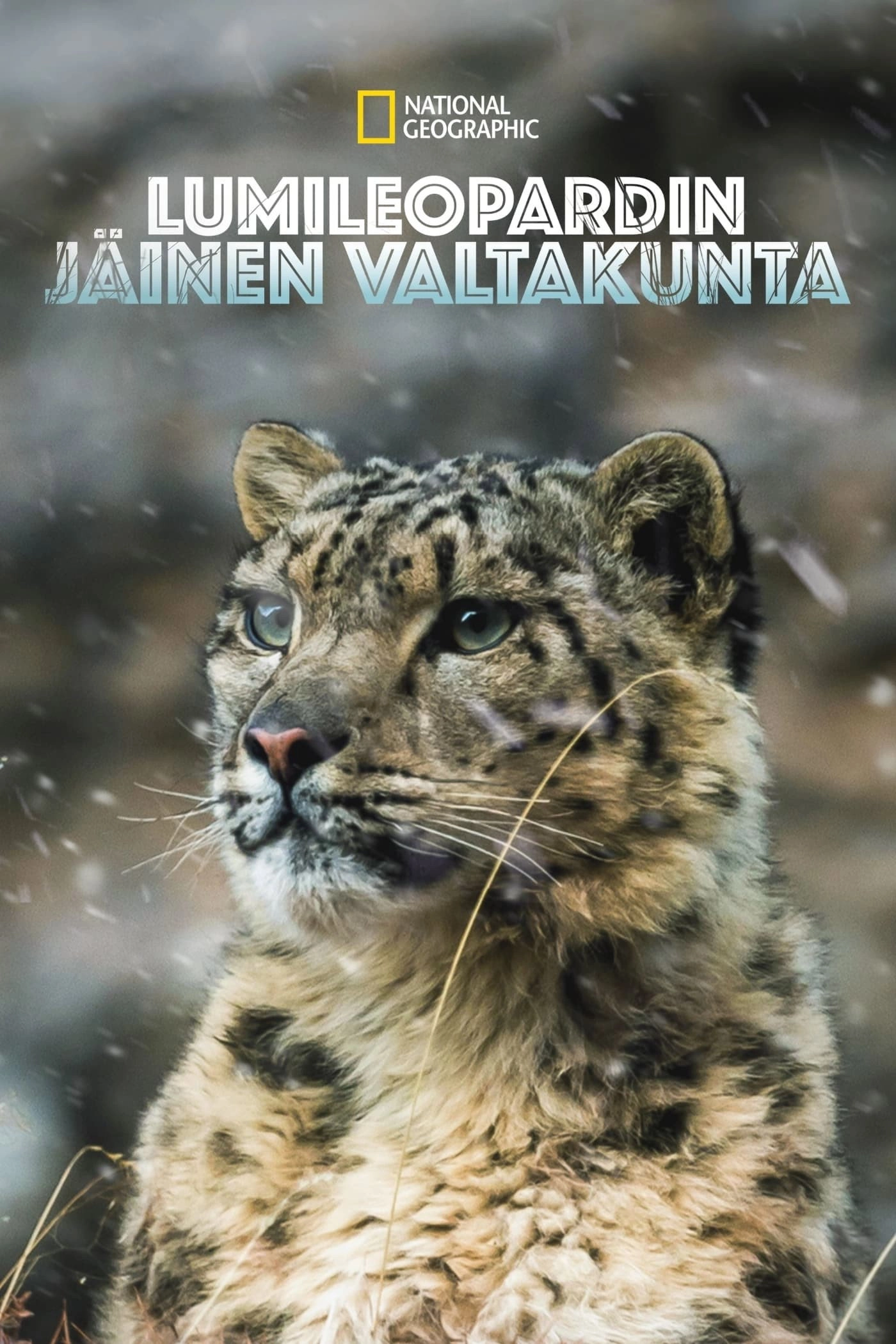 The Frozen Kingdom of the Snow Leopard