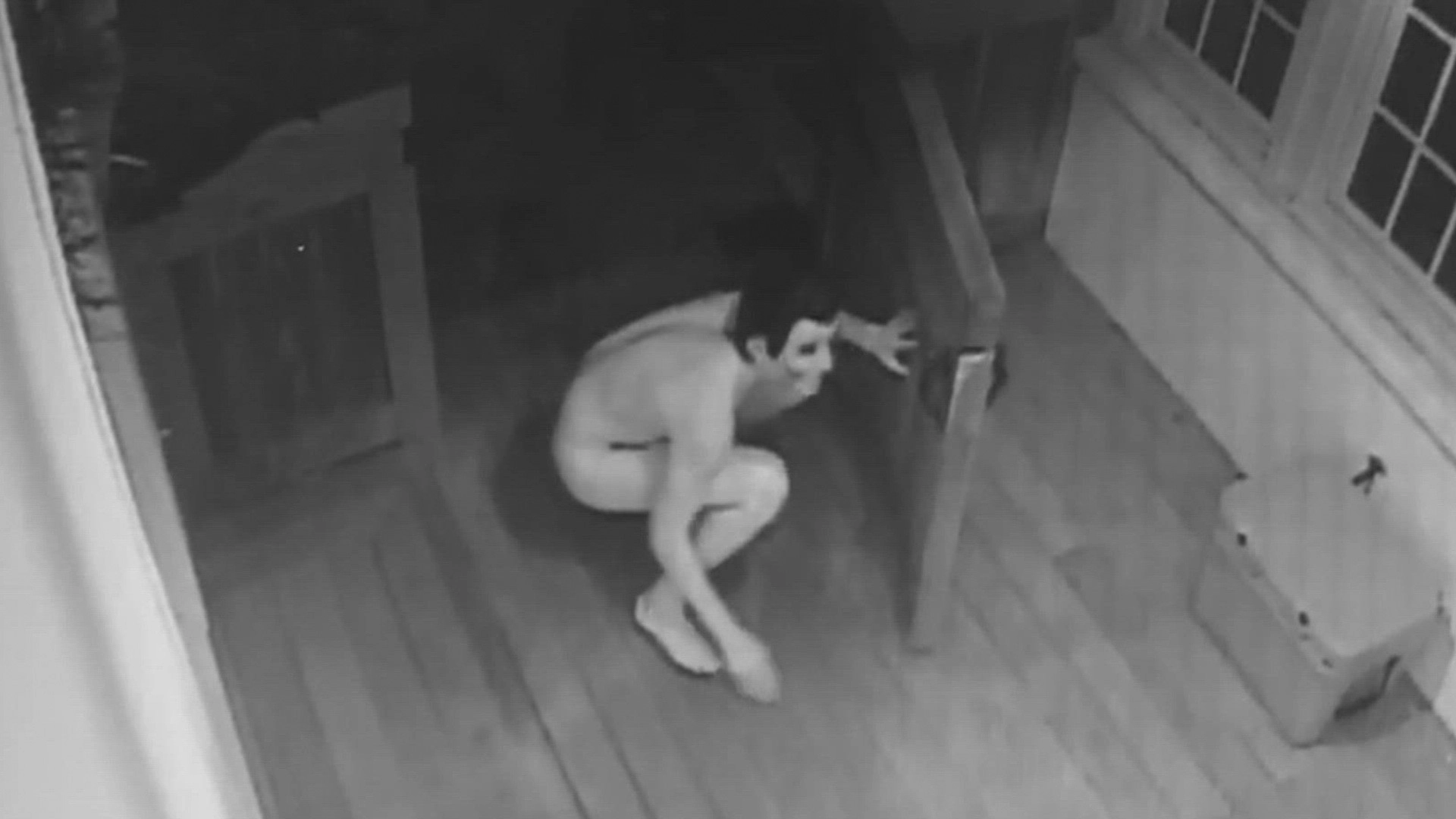 Crimes Gone Viral