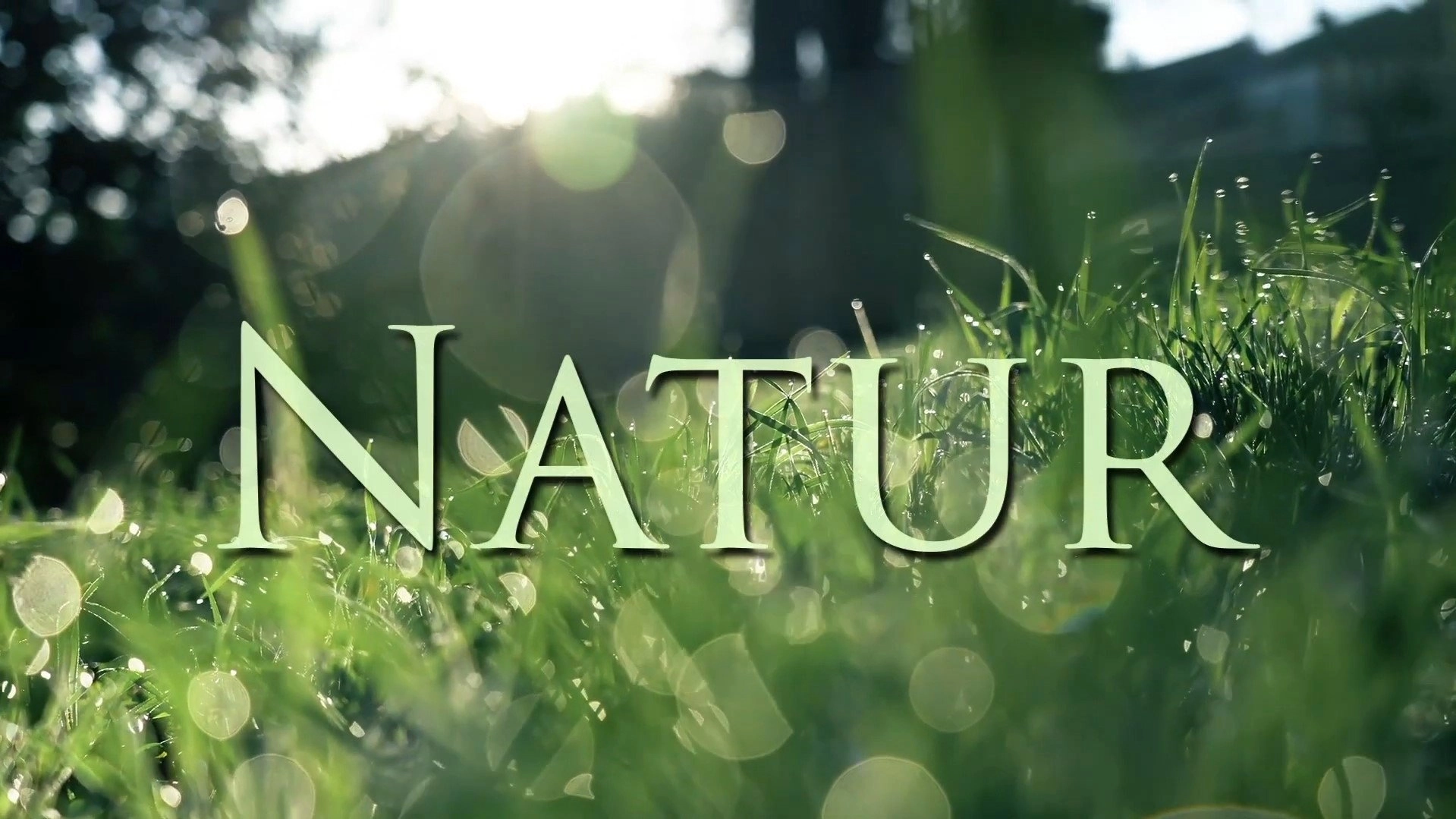 Natur
