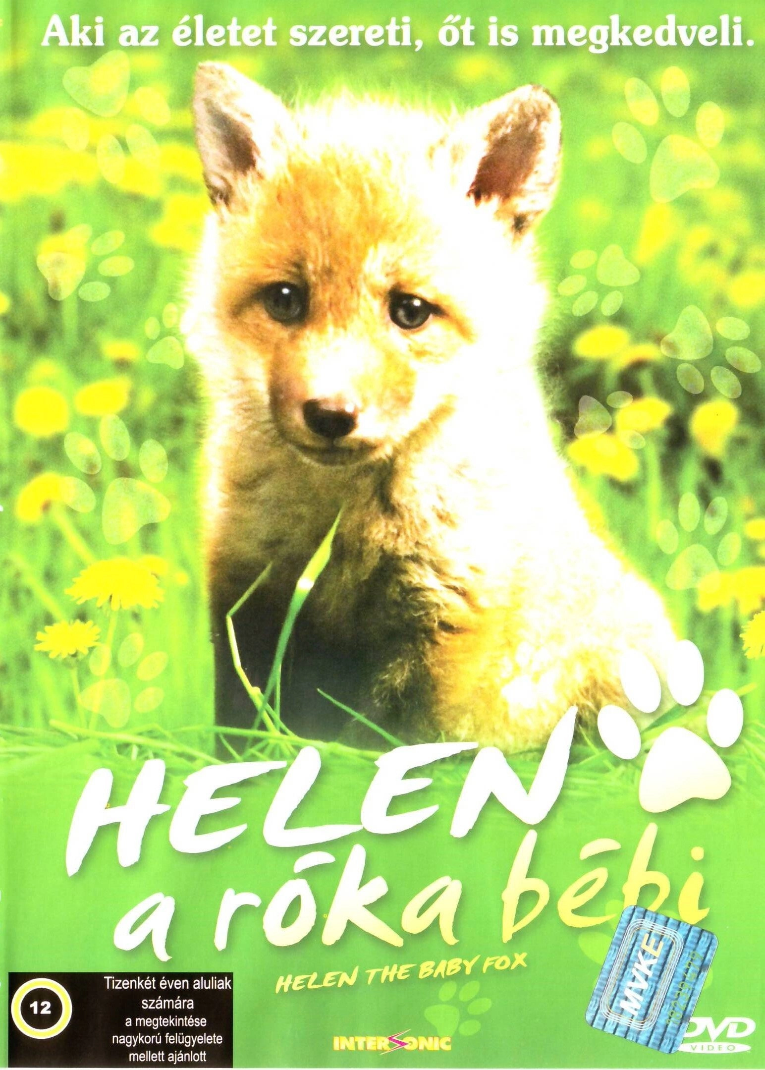 Helen the Baby Fox