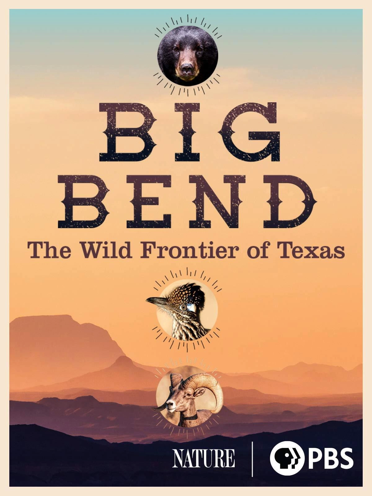 Big Bend: The Wild Frontier of Texas