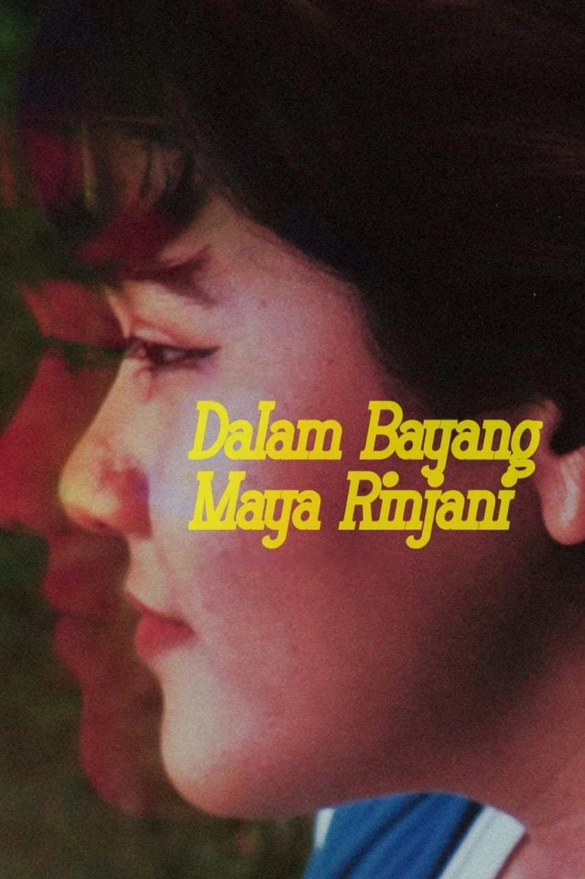 The Shadow of Rinjani