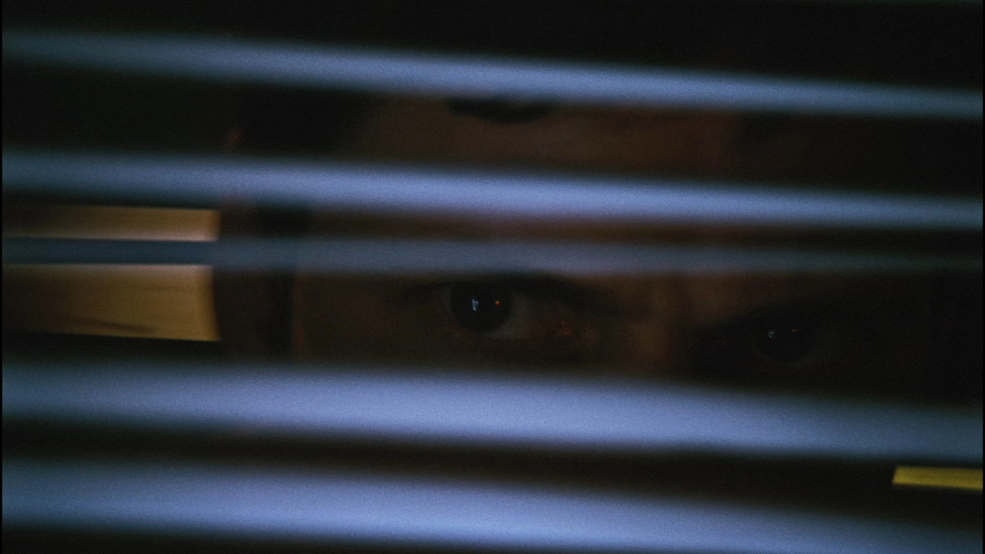 Dead Man's Wire