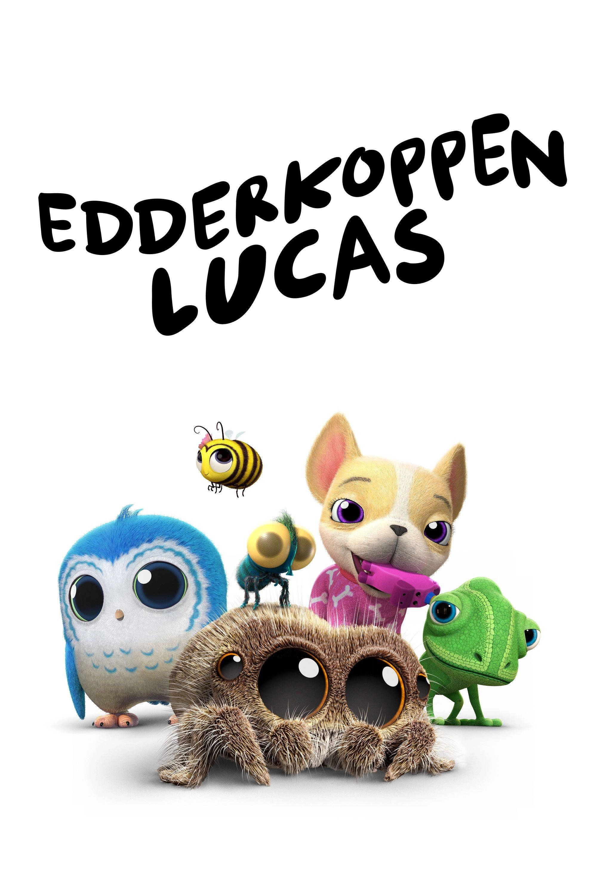Lucas the Spider