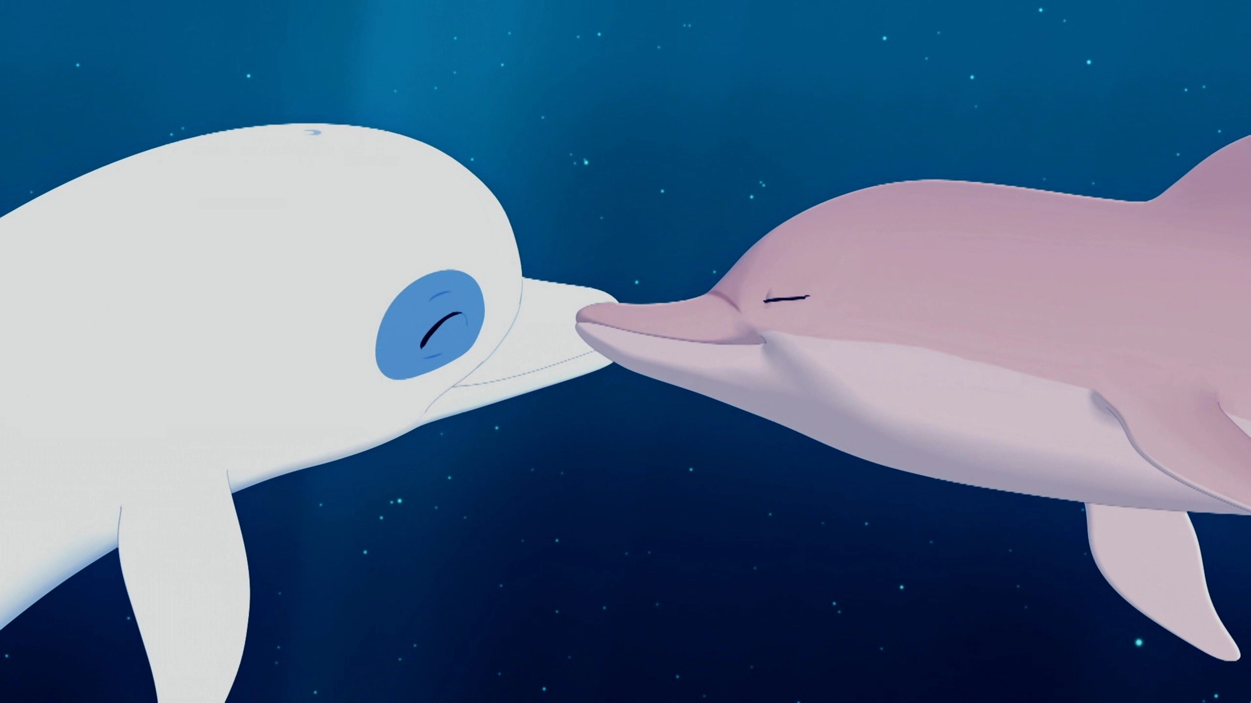 Zoom the White Dolphin