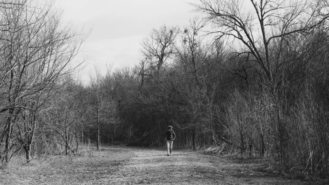 The Trail