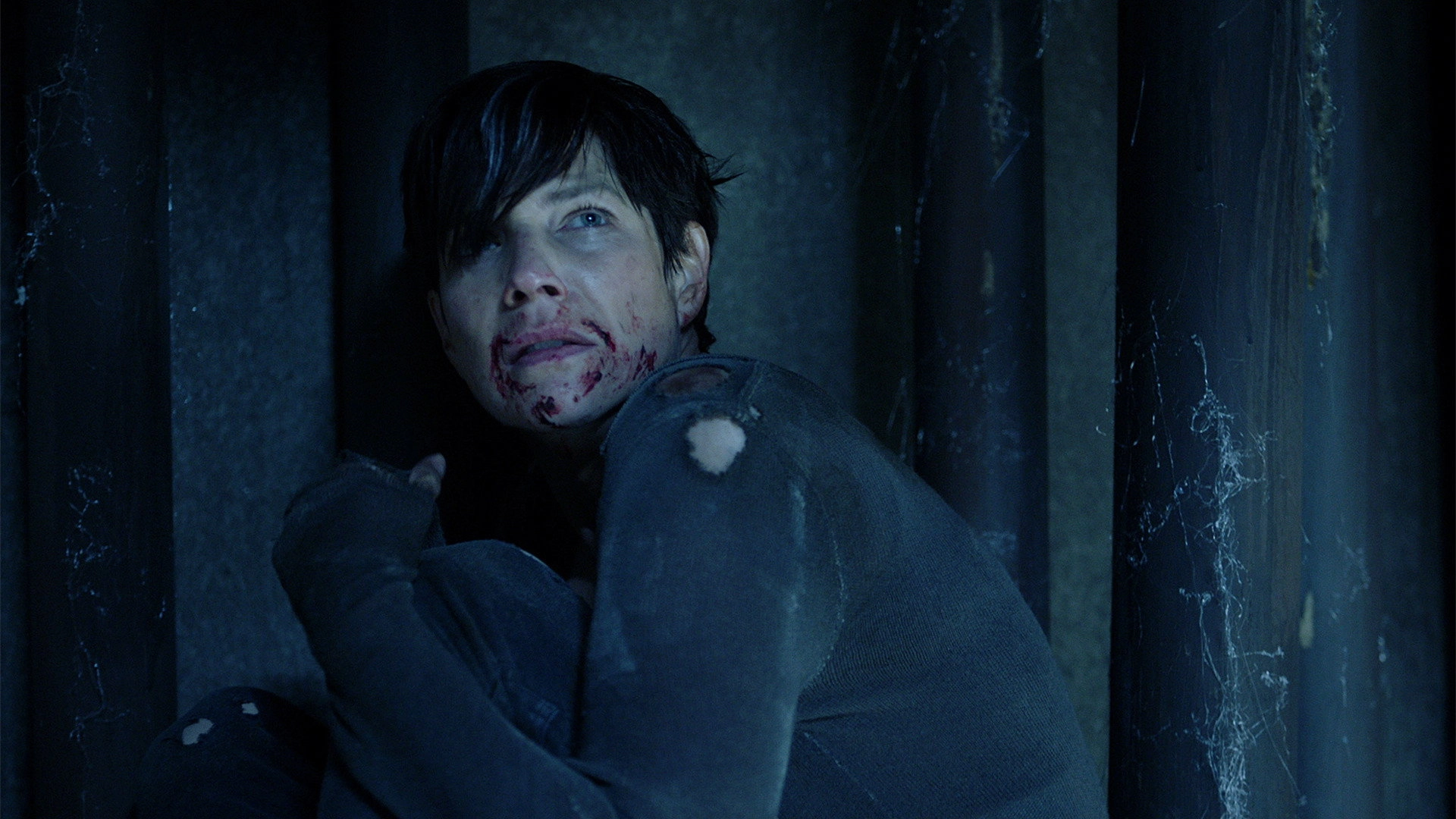 12 Monkeys