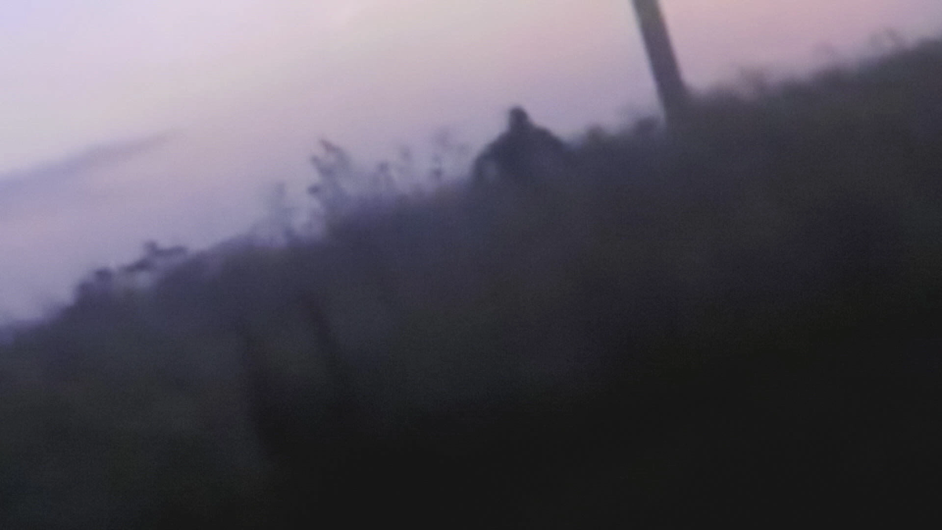 Strange Evidence