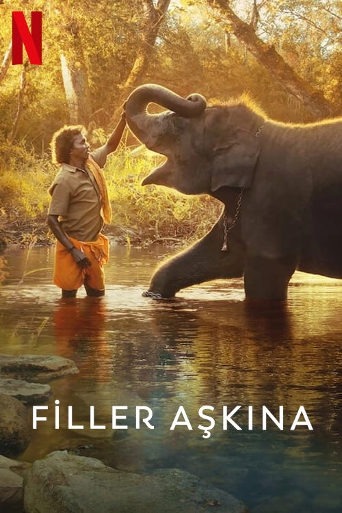 The Elephant Whisperers