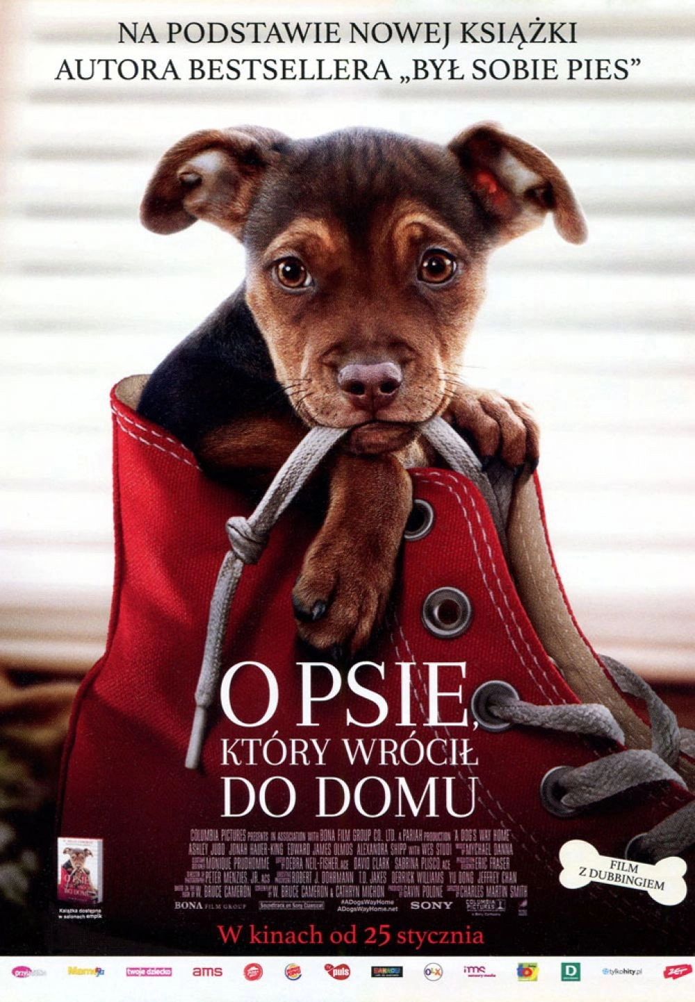 A Dog's Way Home