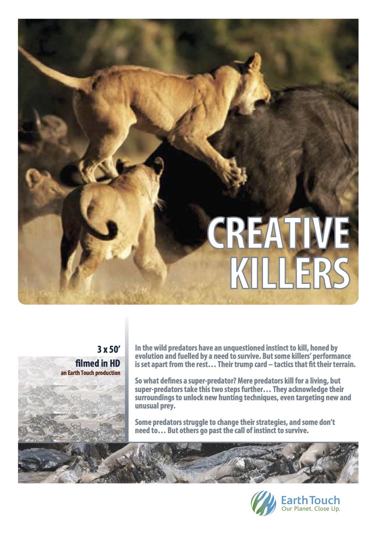 Creative Killers
