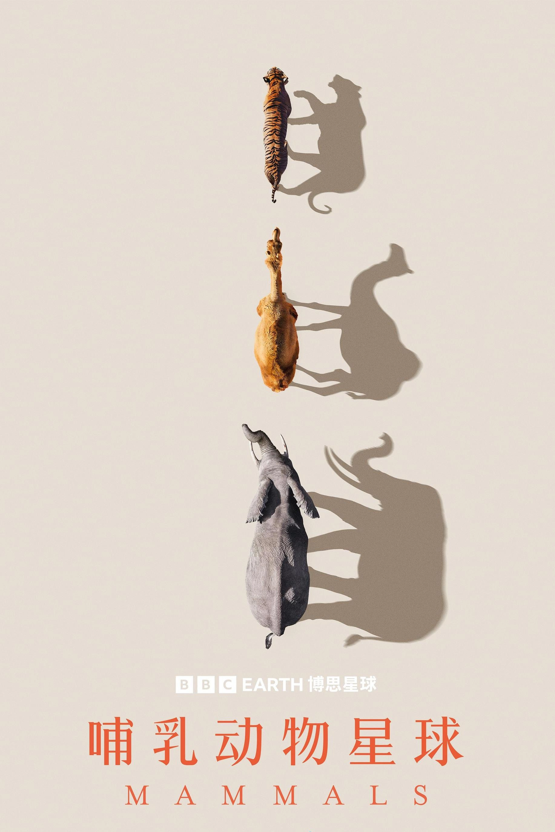 Mammals
