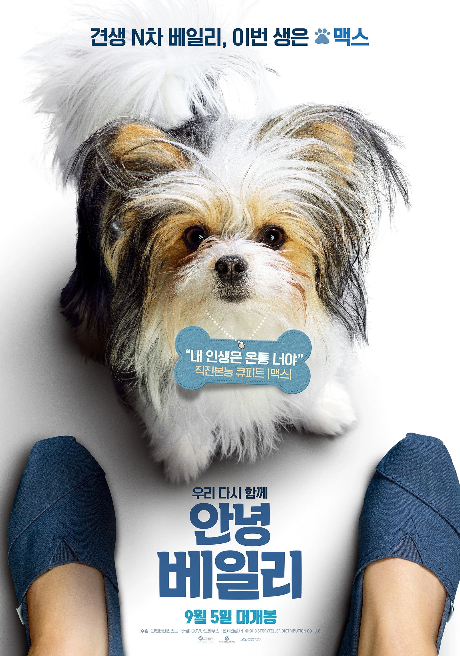 A Dog's Journey