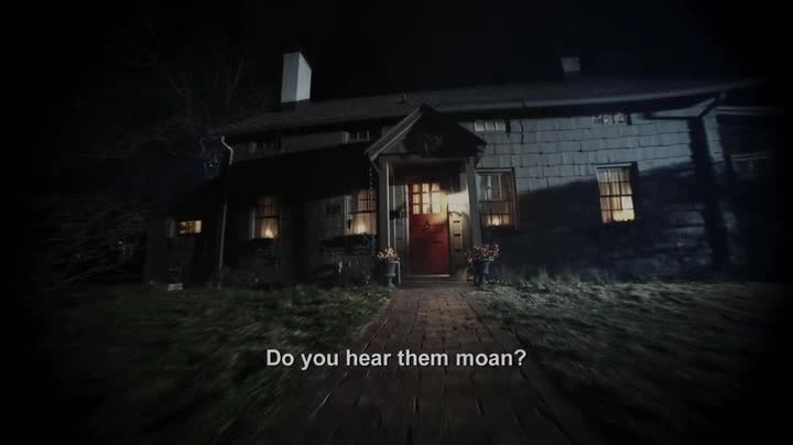 The Holzer Files