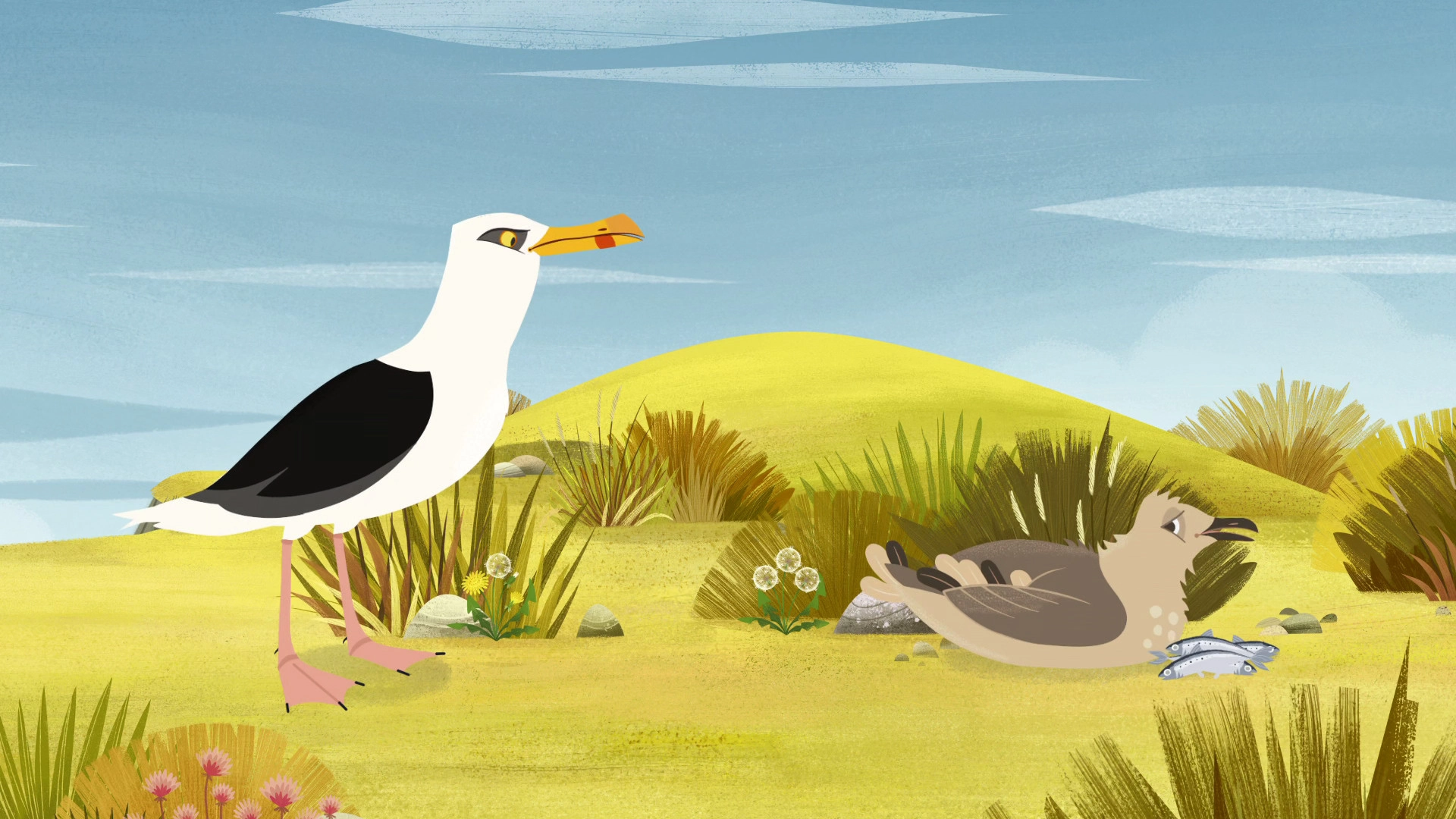 Puffin Rock