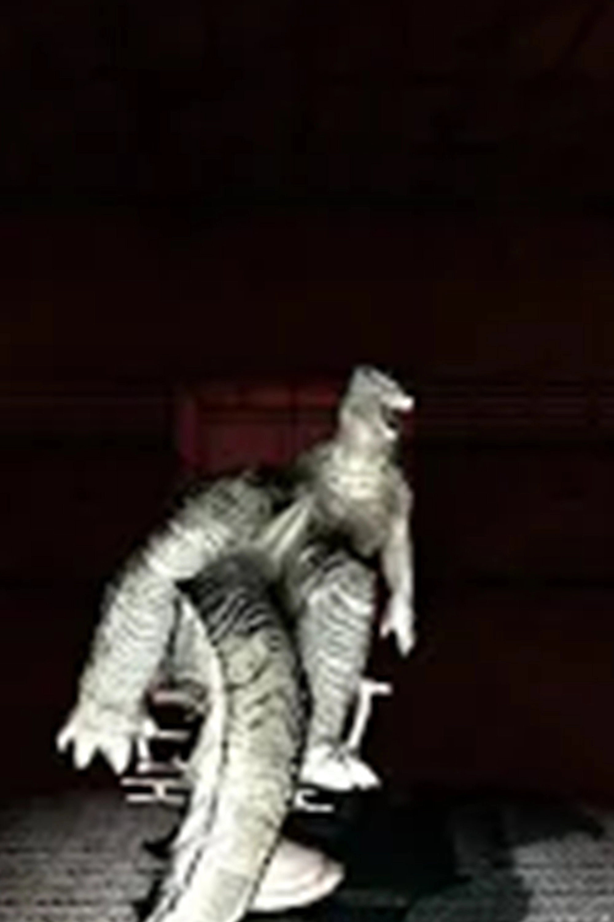 King Kongs Mission The Kidnapper