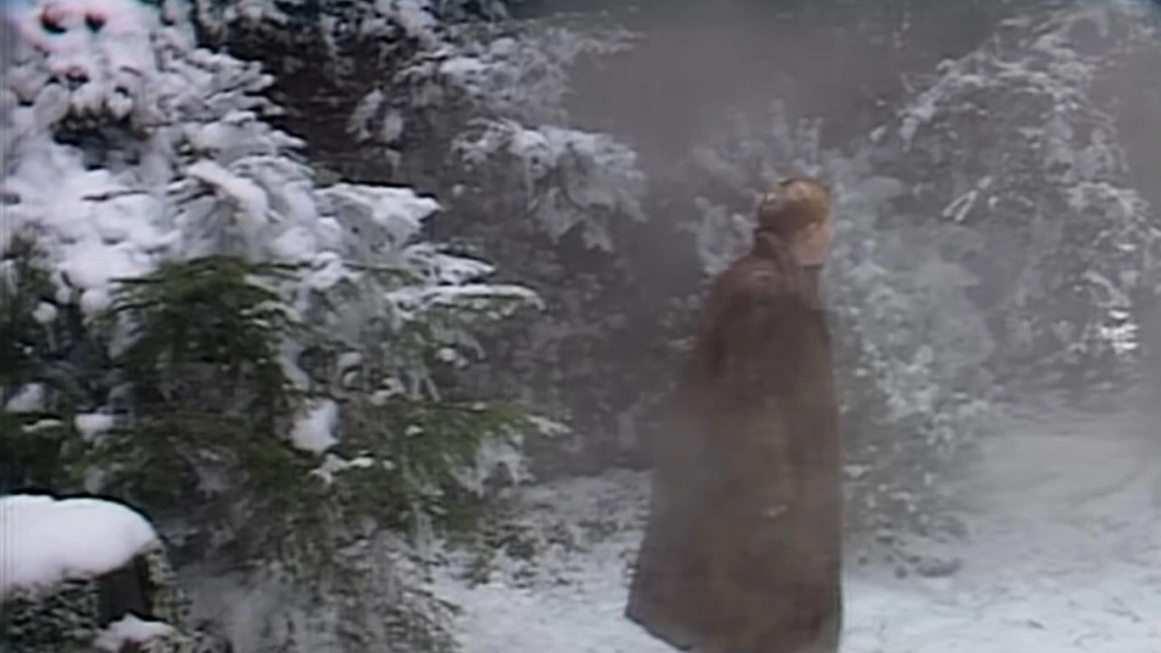 The Chronicles of Narnia: The Lion, the Witch & the Wardrobe
