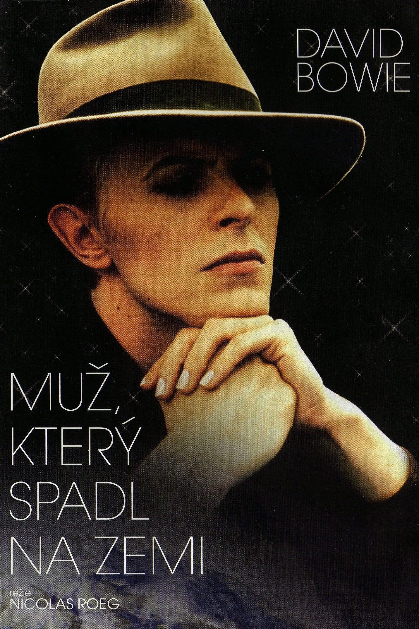 The Man Who Fell to Earth