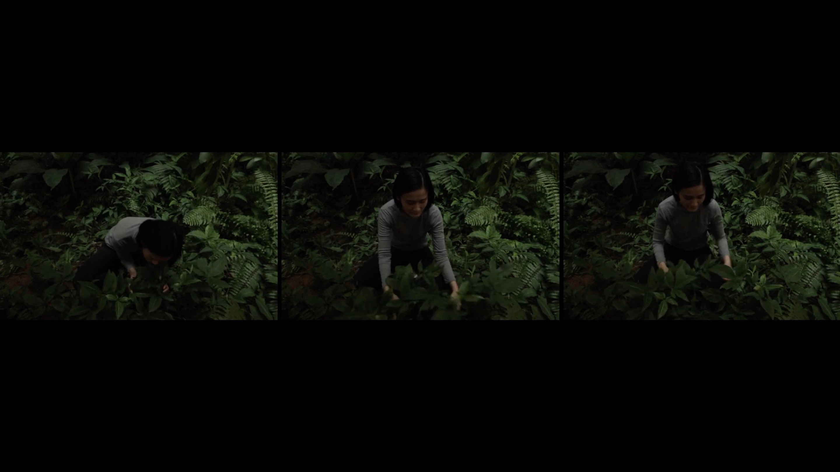 Anitya (Impermanence)