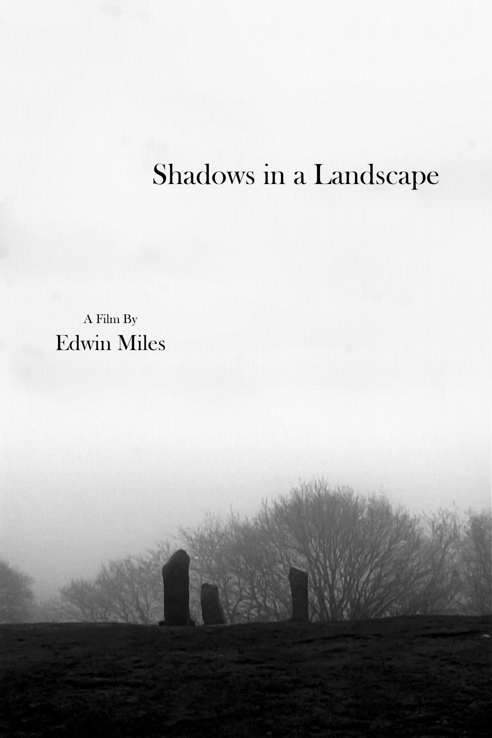 Shadows in a Landscape