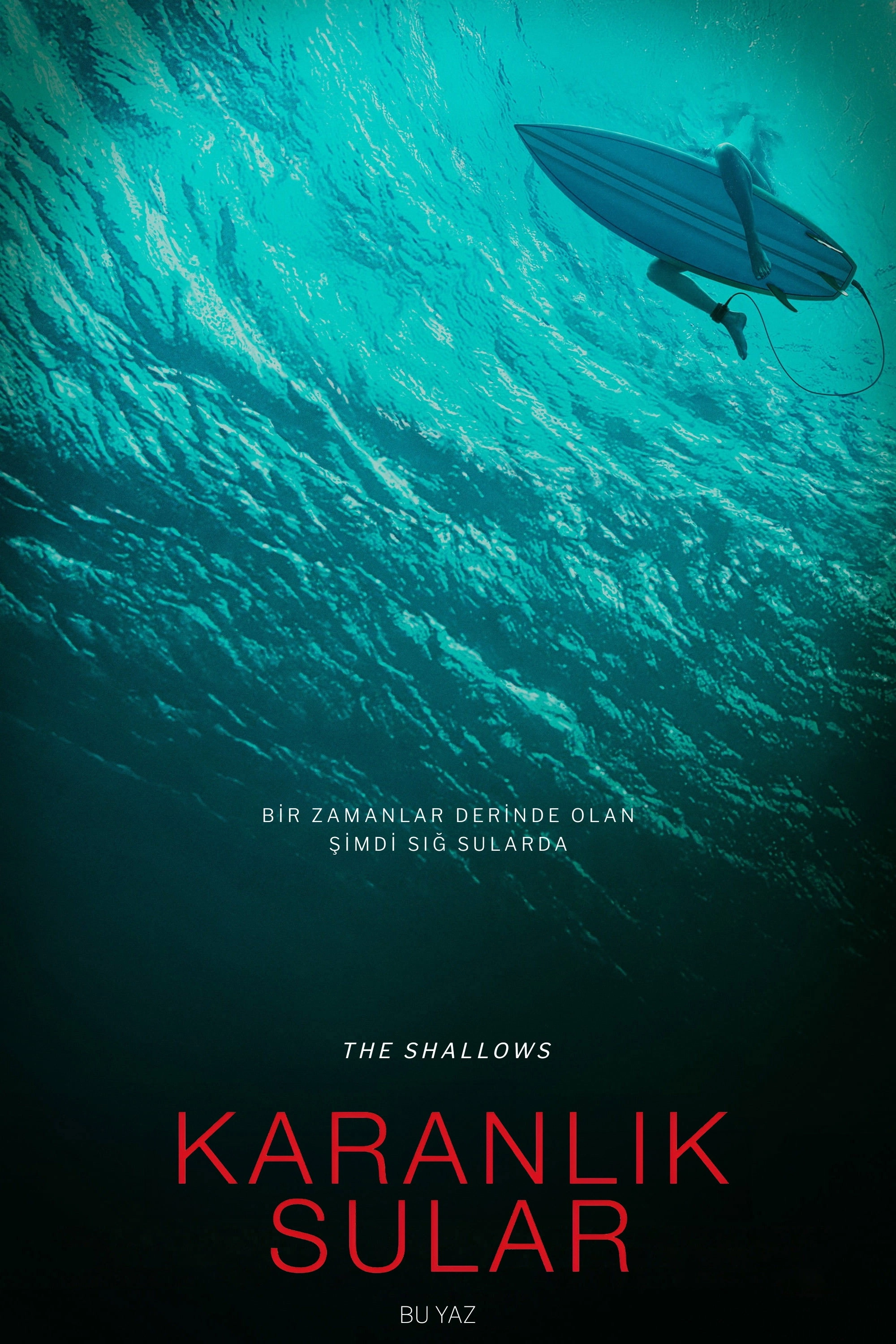 The Shallows