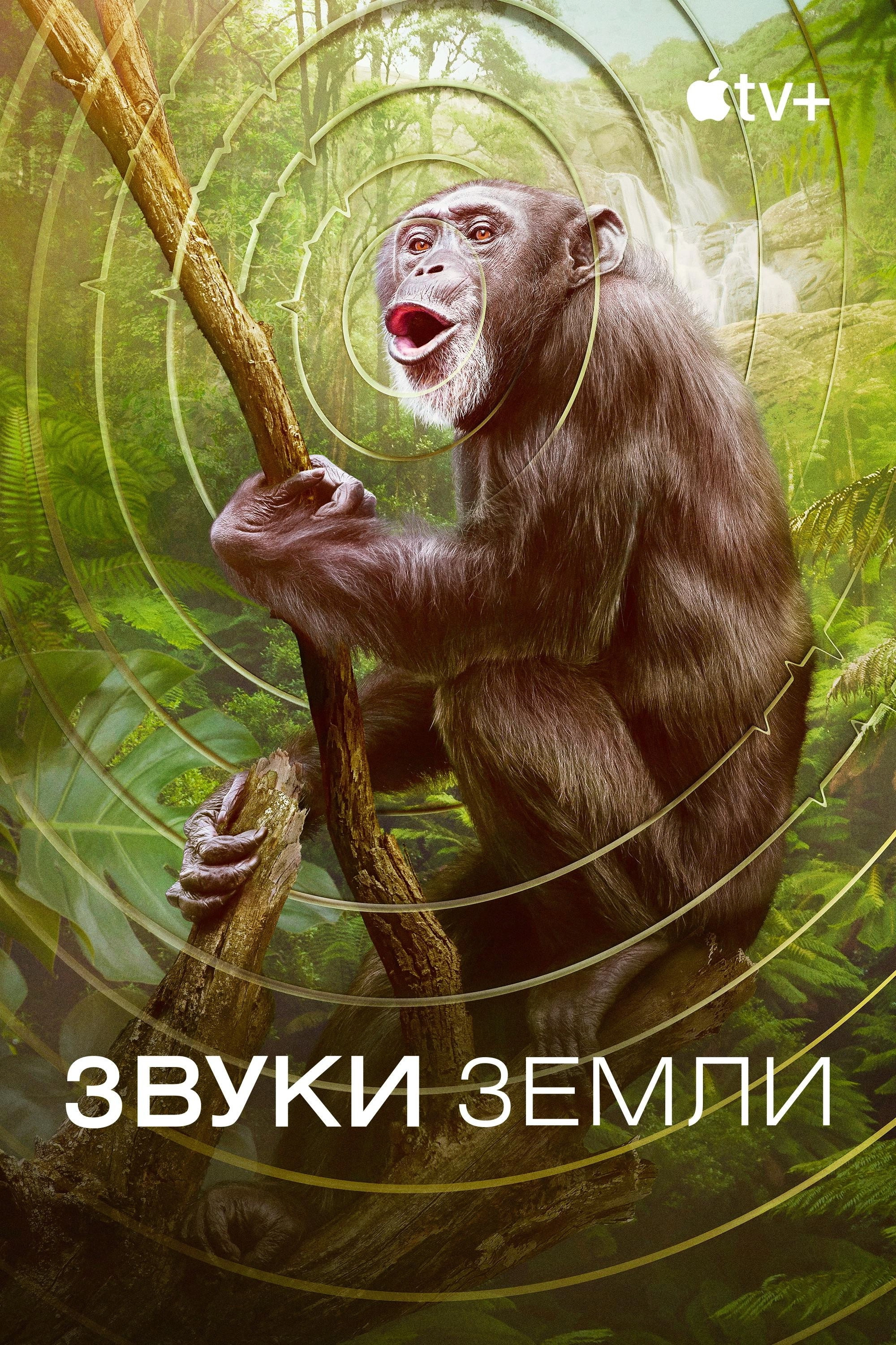 Earthsounds