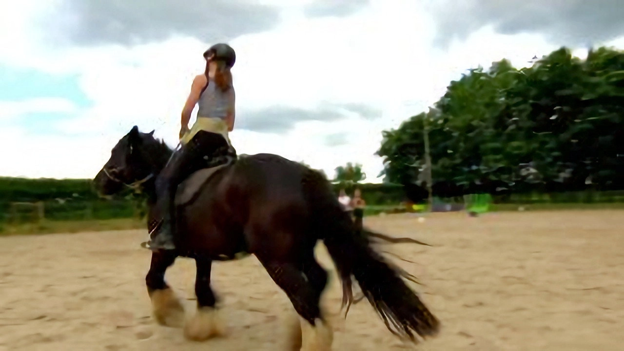 Au galop ! une saison à cheval