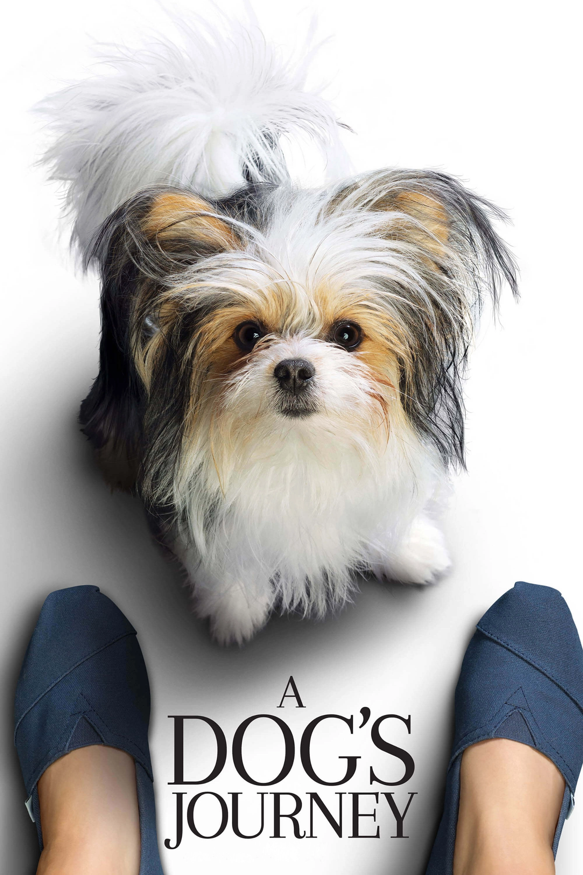 A Dog's Journey