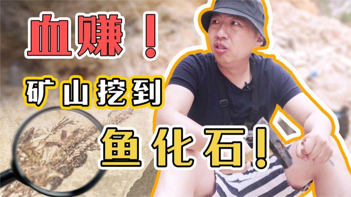 中东大宝荐