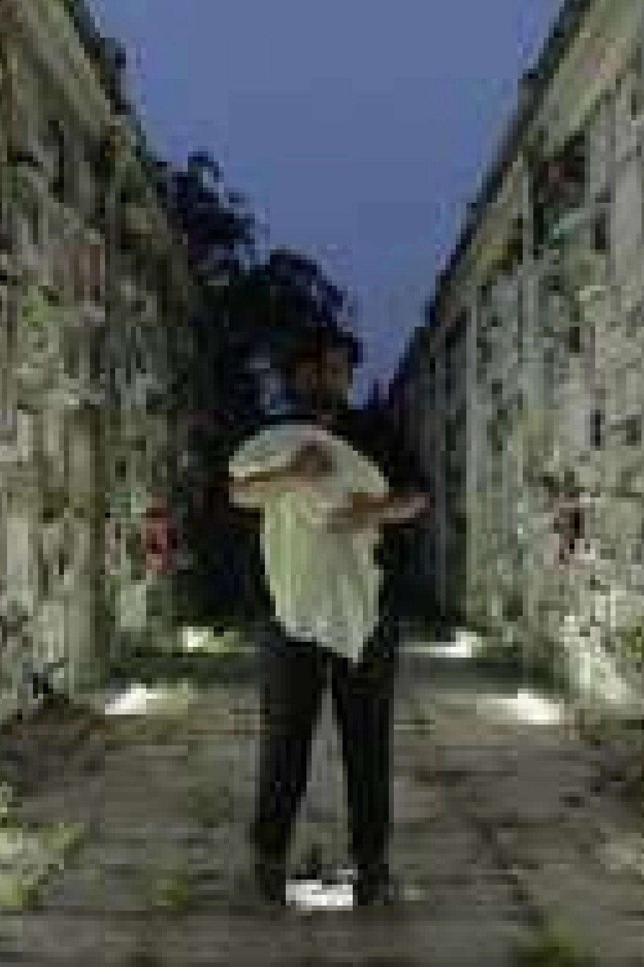 Last Street