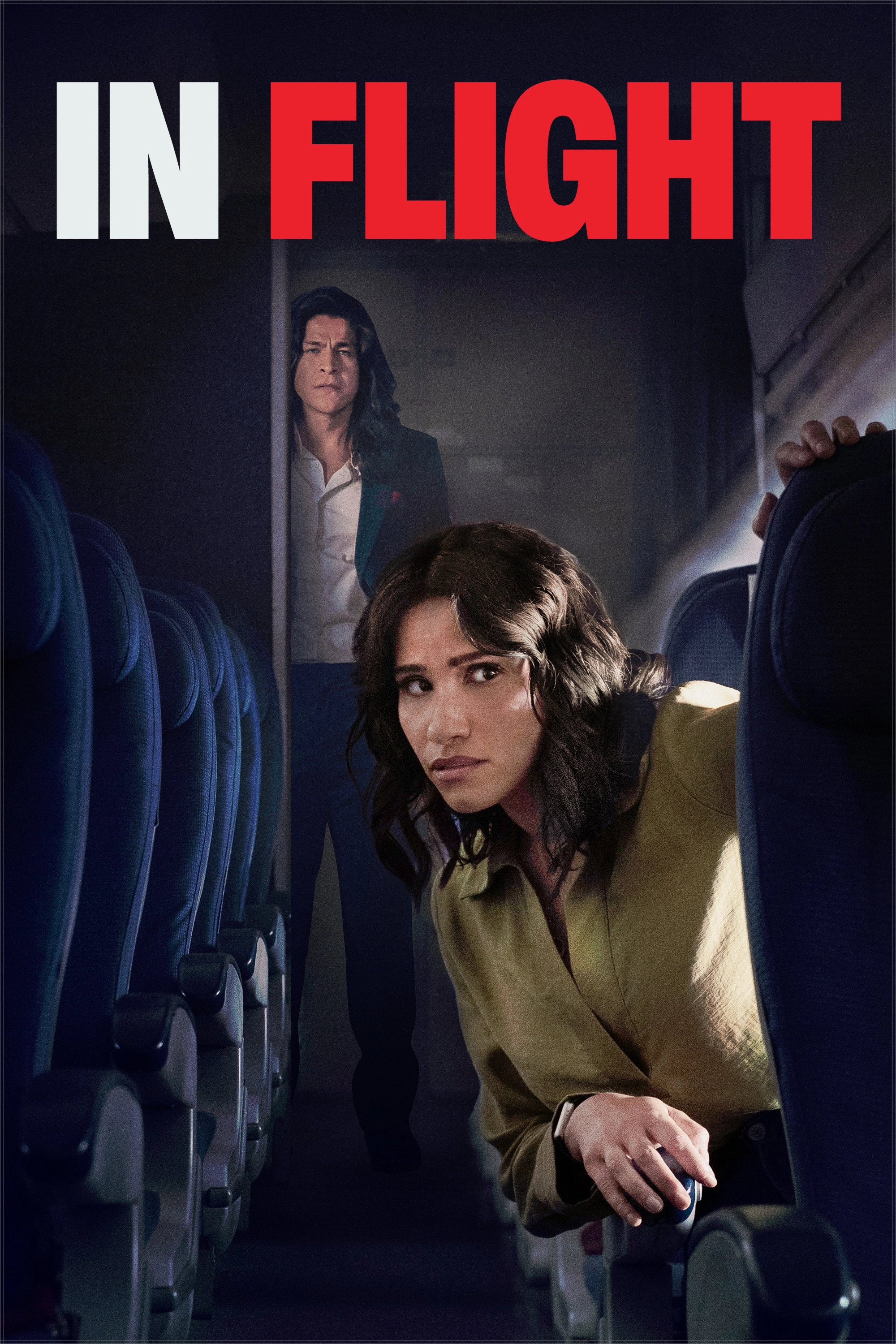 In Flight