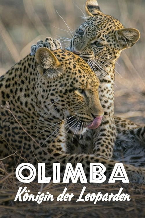 The Leopard Legacy