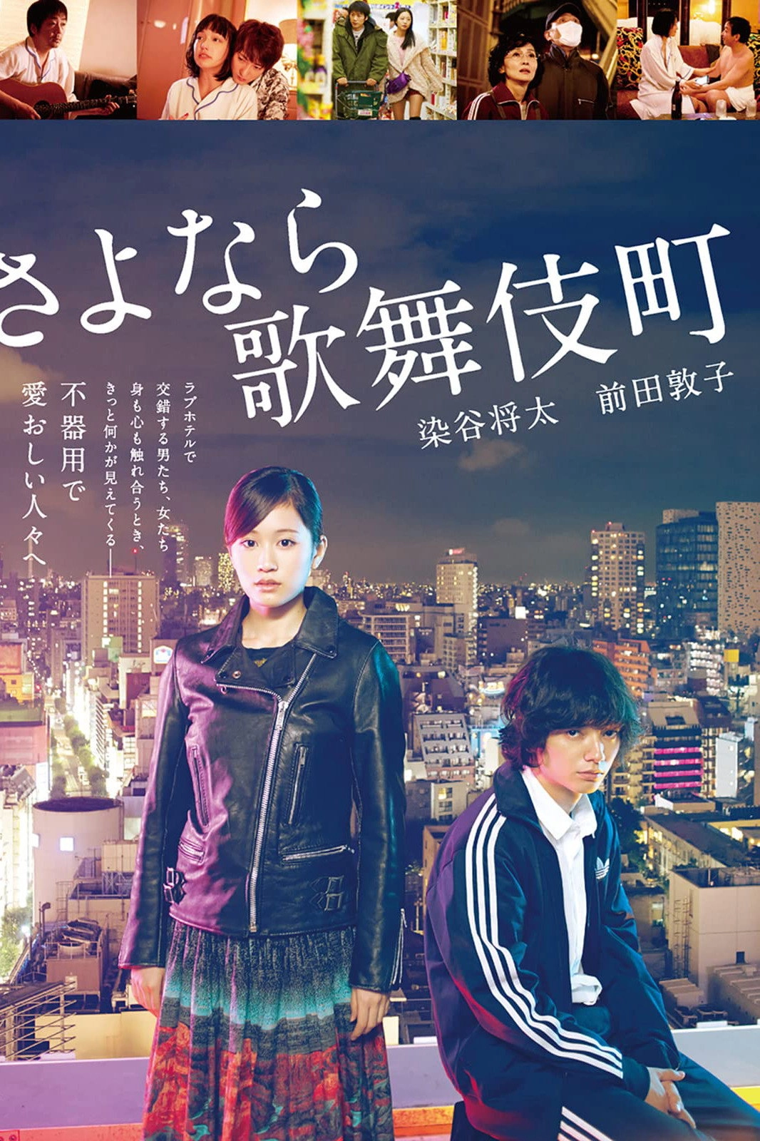 Kabukicho Love Hotel