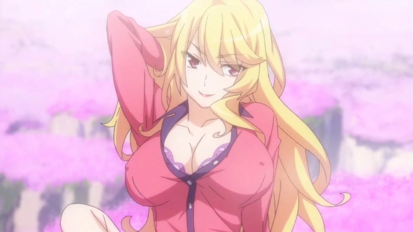 High School DxD