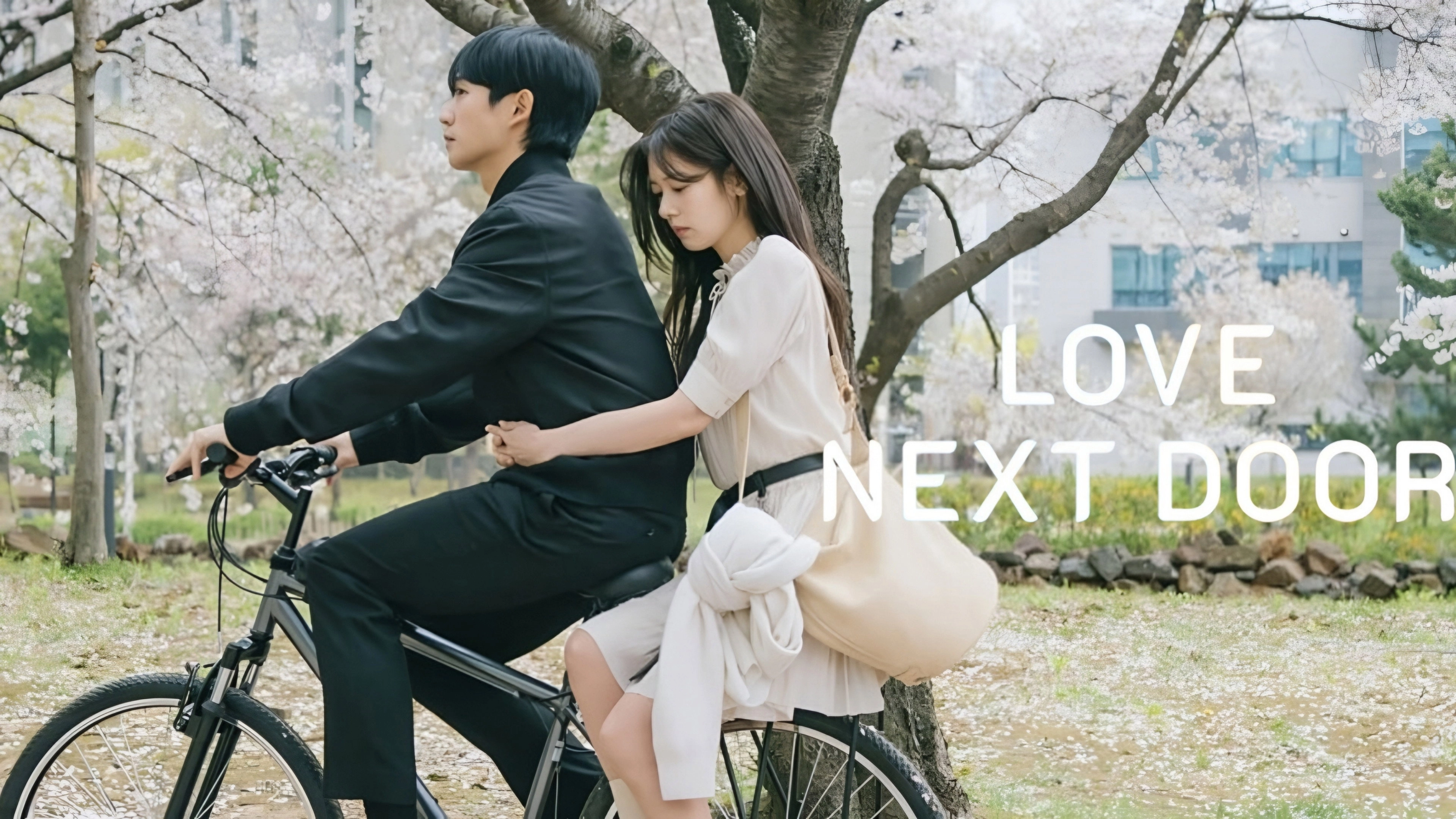 Love Next Door