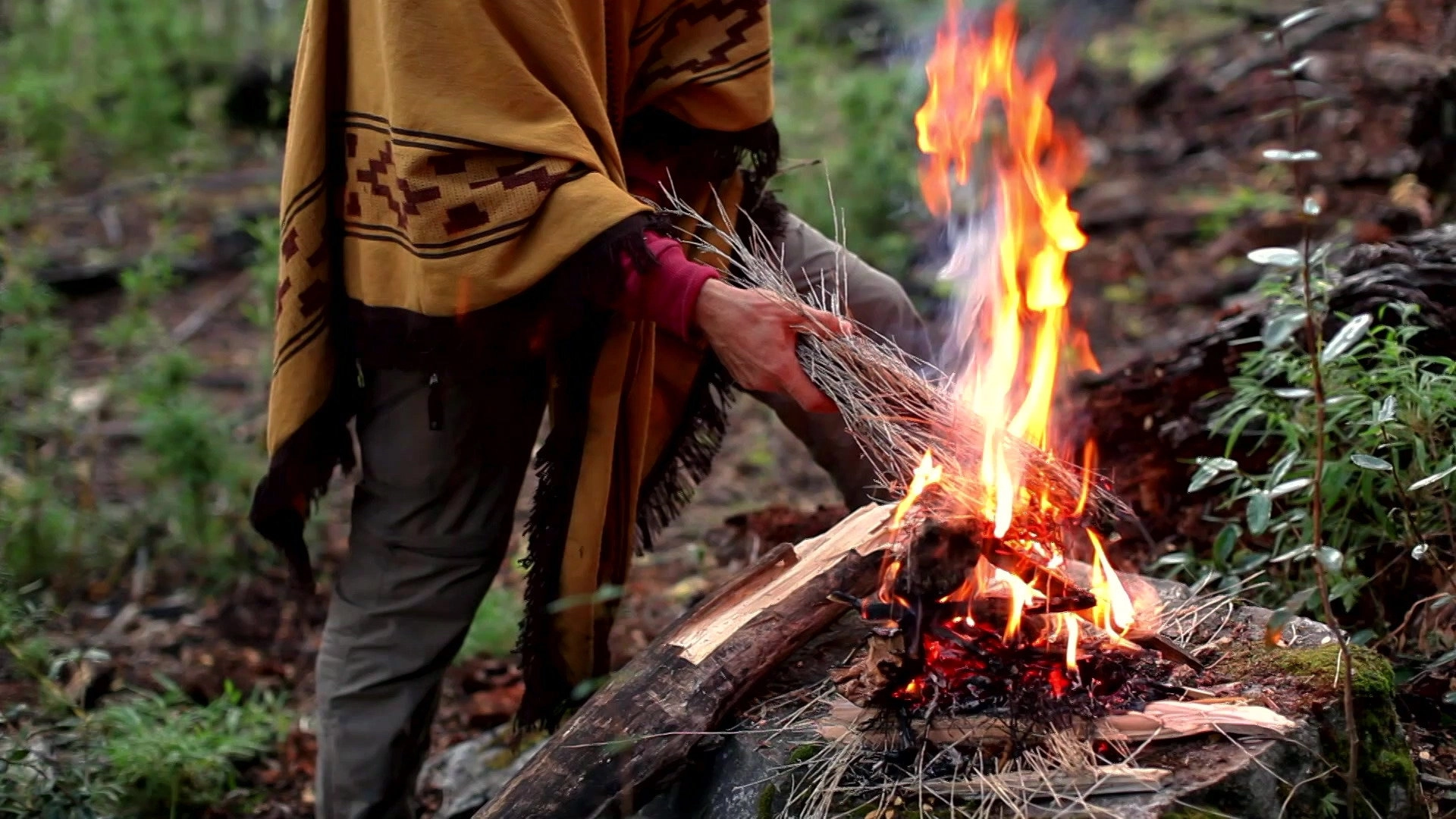Dual Survival Brazil