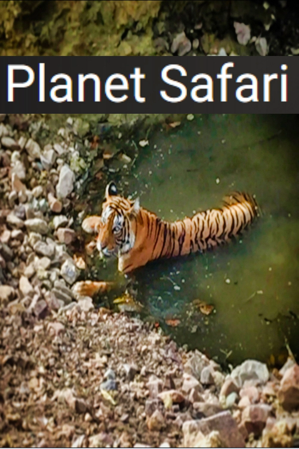 Planet Safari