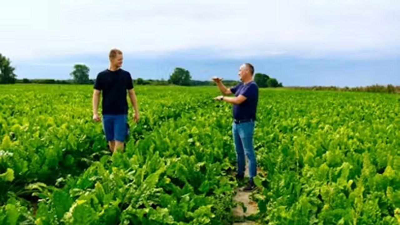 Ingemann, Fyn & Lolland-Falster